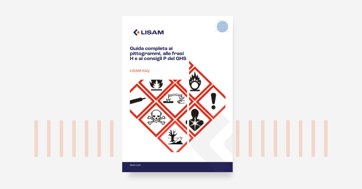 Guida completa ai pittogrammi,alle frasi H e ai consigli P del GHS_Ebook cover picture